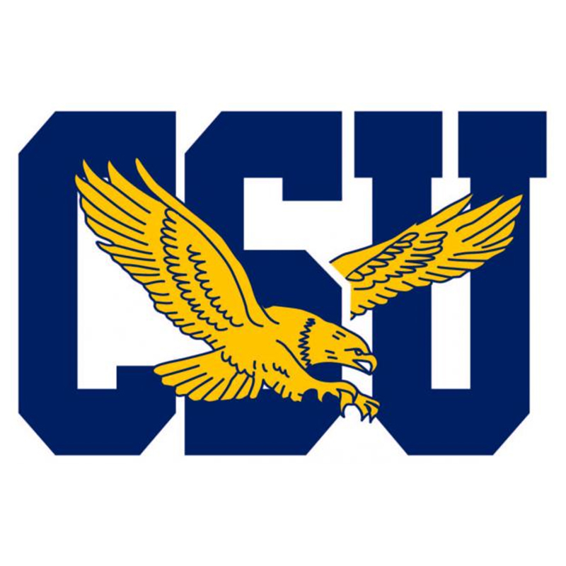 Coppin State Eagles iron ons